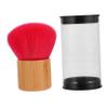 DIYEAH Vinyl Record Cleaning Brush -Static Dust Removal Tool Quality Bristles for Cleaning Compact Portable Design for Easy Use and Maintenance view 1
