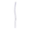 100 Pack Plastic Spiral Binding Coils, Plastic Spiral Coil Binding, 75 Sheet Capacity, 4:1 Pitch, Black, 48Loops, for Letter Size, for Students, Coworkers, Office and Educational (White) view 4
