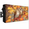 Outdoor TV Cover with Zipper 30 to 32 Inch, Cartoon Owls Maple Leaves Berries Fall TV Screen Protector for Outside Weatherproof Waterproof 600D Fabric TV Enclosure with Pocket view 1