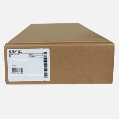 New TSXRKY6EX PLC Module in Box TSXRKY6EX Fast Ship