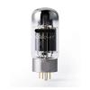 6550-AT tube amplifier replaces 6550 KT88 for Hifi audio vintage tube amplifier(4pcs Matched Quad) view 3