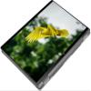HP 2025 X360 Chromebook with Google AI, 14" WUXGA IPS Touchscreen, Intel 12th Gen i3 Processor Up to 4.40GHz, 8GB RAM, 256GB SSD, Backlit Keyboard, 6th Gen WiFi, Chrome OS, Pastel Grey (Renewed) view 2