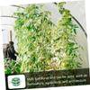 FUNOMOCYA Multi-Purpose Plant Straps 400m Gardening Wire Ties Flexible Plant Fixing Cable Tie Easy to Bend Cut for Seasonal Use view 3