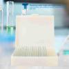 GENGUTOO 20pcs Microbiological Bacterial Specimens Biology Microscope Slices Lab Specimen for Biology Study Education Kit view 3