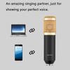 goodstumbler 3.5mm Wired Microphone for PC, Condenser Studio Recording Mic with Shock Stand, Gaming & Streaming Audio Capture view 2