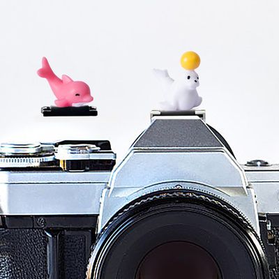 Camera Hot Shoe Cover, Cartoon Hot Shoe Cap, Hot Shoe Protector Compatible with Sony Fujifilm Fuji Canon Nikon Pentax Leical Panasonic (2pcs Seal Dolphin)