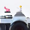 Camera Hot Shoe Cover, Cartoon Hot Shoe Cap, Hot Shoe Protector Compatible with Sony Fujifilm Fuji Canon Nikon Pentax Leical Panasonic (2pcs Seal Dolphin) view 1