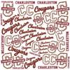 College of Charleston Spirit Logo Vinyl Large Deluxe Stickers Variety Pack - Laptop, Water Bottle, Scrapbooking, Tablet, Skateboard, Indoor/Outdoor view 1