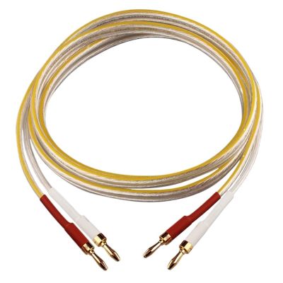 ACGTUY HiFi Silver-Plated Cable High-end 6N OFC Wire Compatible with The Amplifier Hi-fi Systems Y Plug Banana Plug Cable(1pcs- Banana Plug,3m)