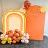 Here Comes The Son Boho Orange Sunrise Arch Backdrop Cover for Boy Baby Shower Birthday Party Decoration,Neutral Chiara Arched Rainbow Background (GX-285,2.2x5ft(67x150cm)) view 2