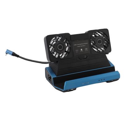 10 in 1 Docking Station for Steam Deck for ROG Ally X for Legion Go for Claw,Tablet with Removable Dual Cooling Fans HDMI 4K 60Hz Gigabit Ethernet 4 USB3.0 PD100W M.2 NVMe