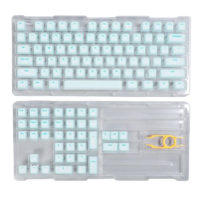 113 Keys PBT Keycaps, Professional DIY Original Height, Mute Mechanical Keyboard Accessory, Compatible with Most 61 108 Keys Mechanical Keyboards, Premium Silicone PBT Material (Mint Green)