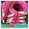 [100M OM4 Patch Cord] LC-LC Duplex 10 Gigabit Multimode Fiber Optic Cable(LC-LC no clip 40m) view 2