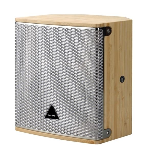 iVTWO Premium Bamboo Pro Audio Speaker - 300W RMS with 10" Woofer & 1" HF Driver - Natural Wood Finish, Chrome Grill (300x240x400mm, 11.5kg)