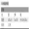 DT-92 lightmeter Photometer view 4