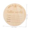 DECHOUS Safe Wooden Newborn Milestone Discs 13pcs Set Monthly Milestone Cards Photo Prop for Baby Growth view 2