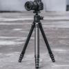 Falcam TreeRoot F38 Pro Carbon Fiber Tripod, 61" Quick Lock Travel Tripod, 5kg Load, F22 Interfaces, 1/4" Screw, Carry Strap Holes for DSLR, Mirrorless, and Video Cameras (R140T) view 2