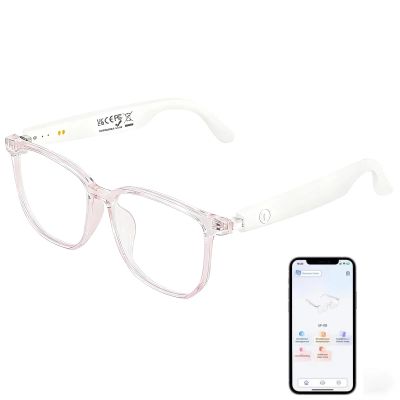 HAIXINDA Smart Translation Glasses Powered by GPT AI, Support 160+ Languages Simultaneous Interpretation, Audio & Video Calls, Live Recording via APP, Bluetooth Glasses Suit for Meetings, Studying