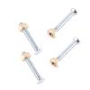 4Pcs 6mm Stainless Steel Turntable Panel Fixing Screws Nut For Garrard 301 Turntable Record Players Accessories view 4