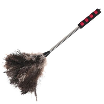 Telescoping Plume Duster with Long Handle for Office Cleaning