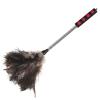 Telescoping Plume Duster with Long Handle for Office Cleaning view 1