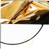 Balacoo Portable Photography Reflector Soft Light Board Camera Photo Lighting Reflective Easy to Fold view 3