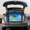 20" 30" 40" 50" Projector Screen Pull Down Projection Screen Outdoor Portable HD Screen, Easy to Install and Operate view 2