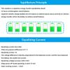 LDHJBNAC Active Balancer Capacitor 5.5A Cell Balance Current for 2S~24S 30AH ~300AH LiFePo4 Li-ion LTO Cell Balancing(14S) view 3