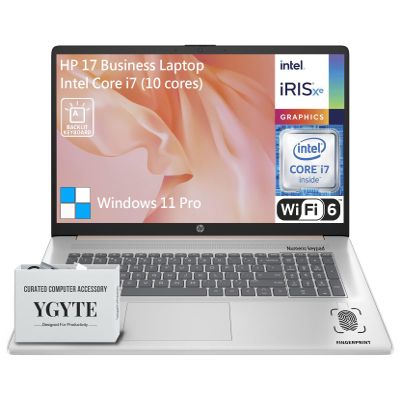 HP 17 Touchscreen Laptop PC, 17.3 Inch HD+ Touch Screen Business Laptop Computer, Intel 10-Core i7, Windows 11 Pro, 10-Key Backlit Keyboard |Fingerprint | Rose Gold | 64GB RAM 2TB SSD