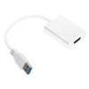 Holibanna USB to Video Adapter for Pc and Laptop Supports Output Multiple Displays Backward Compatible USB External Graphics Card Converter for and Monitors view 1