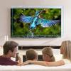 Blue Light Blocking TV Screen Protector Anti-Scratch, Ultra HD Clarity, Enhances Viewing Comfort(A,80 inches) view 3