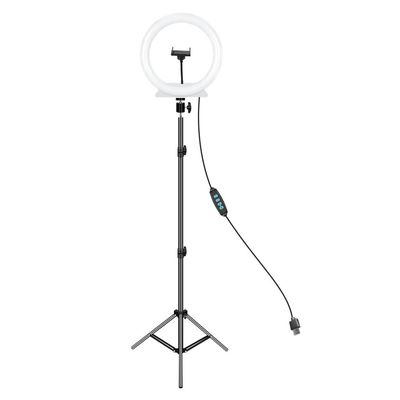 YUYUFA LED Supplementary Light Vertical Live Broadcast Room Circular Folding Soft Light Floor Lamp
