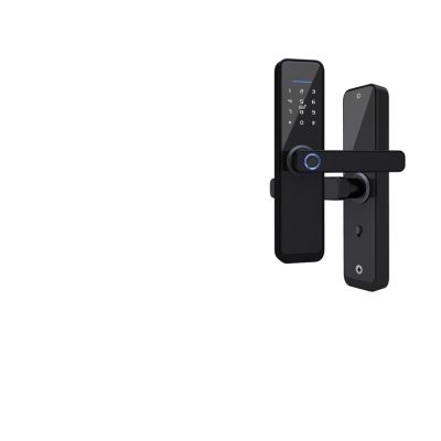 Biometric Fingerprint for Home, Hotel, Airbnb, Digital Door Handle with App Unlock, IC Card, Anti-Theft, Waterproof, Zinc Alloy Construction