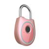 Fingerprint Padlock IP65 Anti-Theft Intelligent for Sports Gym School Out Door Fence Backpack Suitcase, Luggage Suitcase, Office, No App (Color : Pink) view 1
