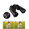 8X30 Binoculars Compact Wide Angle Weak Light Night Vision Waterproof Outdoor Travel Portable Telescope view 4