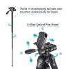 Aluminum Alloy Camera Tripod and Monopod, Lightweight DSLR Tripod with Ball Head, Quick Release Plate, Foldable for Travel, Fill Light, Cell Phone, Mirrorless Camera view 2