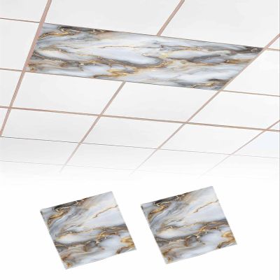 TvonTa Tey Fluorescent Light Covers for Drop Ceiling Modern Gold Grey Marble Stone Texture Magnetic Light Filters, Abstract Art Ceiling Shade Filters for Home Classroom Office,2x4 ft,2Packs