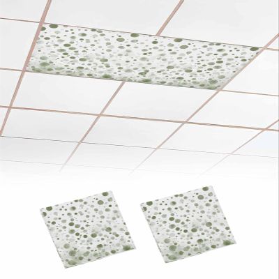 TvonTa Tey Fluorescent Light Covers for Drop Ceiling Gradient Sage Green Polka Dot Magnetic Light Filters, Watercolor Modern Art Ceiling Shade Filters for Home Classroom Office,2x4 ft,2Packs
