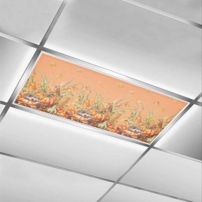 Fluorescent Light Covers for Drop Ceiling Watercolor Thanksgiving Harvest Fall Magnetic Light Filters, Rustic Orange Pumpkin Cute Animal Ceiling Shade Filters for Home Classroom Office,2x4 ft,1Pack