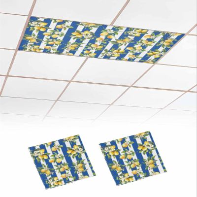 EwdeWwo Lemon 2 Pcs Fluorescent Light Covers for Ceiling Lights, Summer Blue Stripes Magnetic Light Filters for Eliminate Harsh Glare Classroom Office Decoration, 4 x 2 Ft