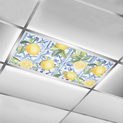 EwdeWwo Lemon 1 Pcs Fluorescent Light Covers for Ceiling Lights, Watercolor Lemon Blue Moroccan Pattern Magnetic Light Filters for Eliminate Harsh Glare Classroom Office Decoration, 4 x 2 Ft