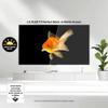 LG 48-Inch Class OLED evo AI 4K C5 Series Smart TV w/Dolby Atmos, Dolby Vision, HDR10, AI Super Upscaling 4K, Filmmaker Mode, Wow Orchestra, Alexa Built-in (OLED48C5PUA, 2025) (Renewed) view 4
