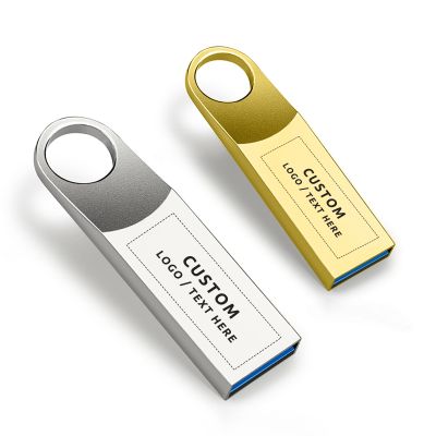 Custom Metal USB Flash Drive | Bulk Branded Thumb Drive with Logo | USB 2.0 High-Speed Drive | Promotional & Corporate Gift Solution (2G,50PCS)