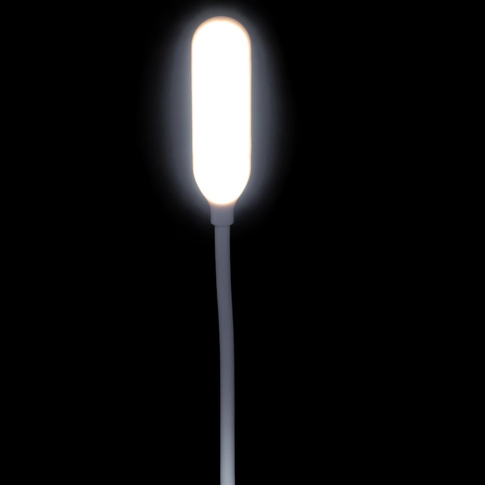 FONDOTIN USB Gooseneck Reading Lamp Flexible Bedside Night Light USB Port Eye-Caring LED Desk Light for Dorm Home Office and Laptop Use Adjustable Brightness