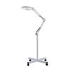 NIELONGHCY 2X Magnifier Floor Standing Lamp with 360 Adjustable Arm, Stable Base, LED Light for Beauty, Salon, Tattoo, Nail, and Reading view 1