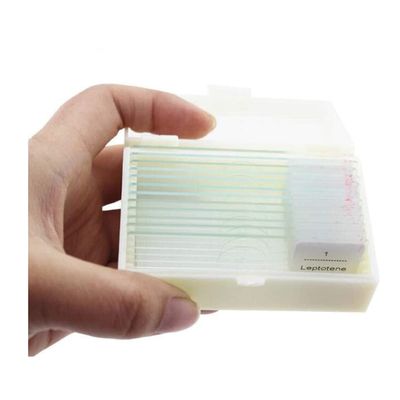 JOEBO Microscope Kit 10pcs Biology Prepared Microscope Slides Tissue Slides Microscope Lens Adapters