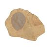 8P-ROCK8SAN Rock Speaker with 8" Woofer  Rugged Outdoor Sound in a Sandstone Finish view 1