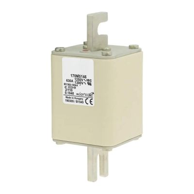 170M5150 170M5200 170M5250 170M6150 170M6151 170M6200 170M6201 170M6250 170M6251 Fuse(170M6201)