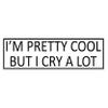 I'm Pretty Cool But I Cry Alot 2 Pack Permanent Funny Vinyl Sticker 0309 Laptop Decal, Water Bottles, Car Decal, Skateboards and More! (2) view 1