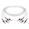 INRLEWGB A Pair of 7N OCC Y-Plug Banana Plug Speaker Cables(B-B,3000mm) view 1